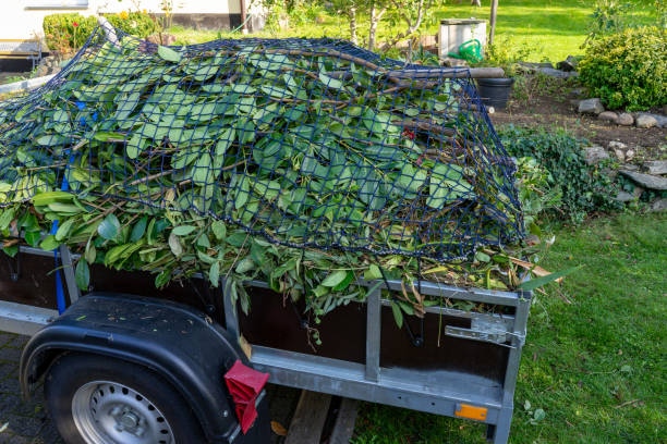 Shed Removal in Lewistown, IL